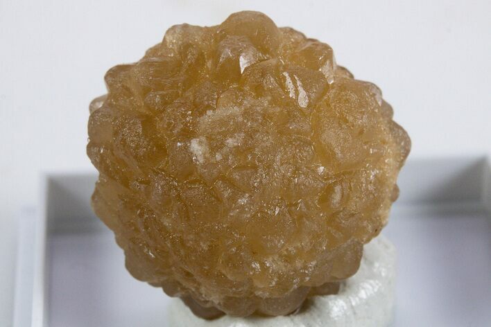 Citrine Quartz Star Pseudomorph after Ikaite - Morocco #345828